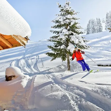 Le Chante Neige Chalet Les Gets